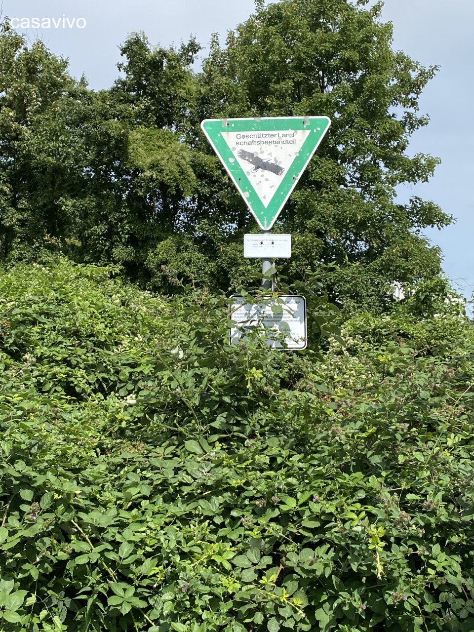 Naturschutzgebiet rechts neben dem Haus