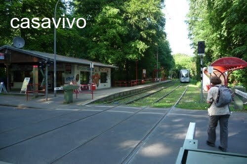 KVB Haltestelle Kippekausen