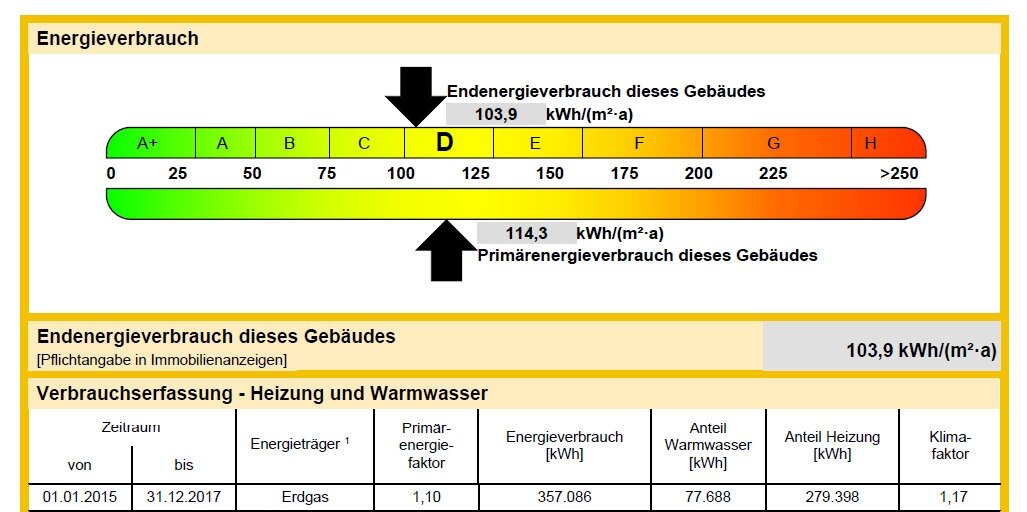 Energieausweis Auszug
